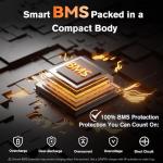 4 Pack 12V 100Ah Mini LiFePO4 Batteries