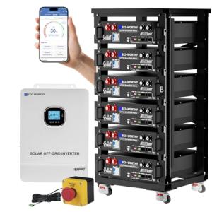 ECO-WORTHY 10000W Home Power Backup Station