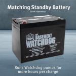 Basement Watchdog Backup Sump Pump System – 2,000 GPH