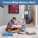 Basement Watchdog Backup Sump Pump System – 2,000 GPH