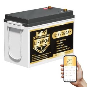 320Ah Lithium LiFePO4 Battery with Smart BMS