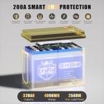 320Ah Lithium LiFePO4 Battery with Smart BMS