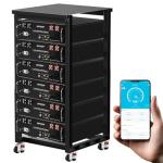 MFUZOP 48V 600Ah LiFePO4 Rack Battery Pack