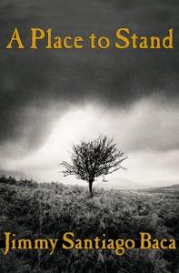 Portable Generator Stand for Easy Setup