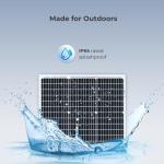 Renogy 50W Monocrystalline Solar Panel for Off-Grid