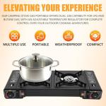 GDIFLS Portable Camping Stove｜24,000 BTU Dual Burner Gas Grill w/Removable Case｜Compact 24.8" Outdoor Cooker for RV Tailgating｜Stainless Steel 2-Burner Propane Stove