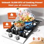 TOPWISH 12 Inch Gas Cooktop, 2 Burner Gas Stove Built-in Propane Stove Top with LPG/NG Convertible Dual Fuel Hob 18000BTU, Stainless Steel Stovetop Thermocouple Protect for Kitchen, Apartments, Rvs