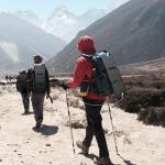 FlexSolar 20W Solar Panel Charger 5V USB-A USB-C Output Portable Foldable Small Power IP67 Waterproof Camping Backpacking Hiking Emergency for Phones Power Banks Flashlight Fans