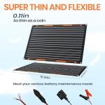 FlexSolar 20W 12V Solar Battery Charger Kit