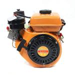 NeNchengLi 196cc Air-Cooled Diesel Engine for Boats