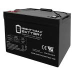 Mighty Max 12V 100Ah AGM Battery for Solar