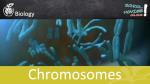 Biology Generator: Chromosomes School Movie