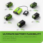 Greenworks 40V Cordless 300W Power Inverter