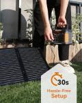 BALDR 300W Solar Generator with 60W Panel