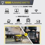 Champion 1500-Watt Portable Generator with CO Shield