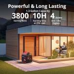 AMERISUN 3800W Portable Gas Inverter Generator