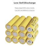 FULIN 12 Pack 1.2V AA Ni-Cd Rechargeable Batteries