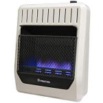 ProCom Dual Fuel Blue Flame Wall Heater, 20,000 BTU