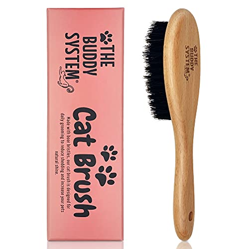 Buddy System Boar Bristle Cat Brush