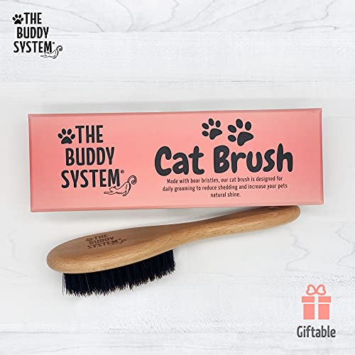 Buddy System Boar Bristle Cat Brush