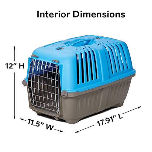 Blue Hard-Sided Pet Carrier for Tiny Breeds