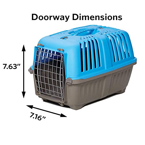 Blue Hard-Sided Pet Carrier for Tiny Breeds