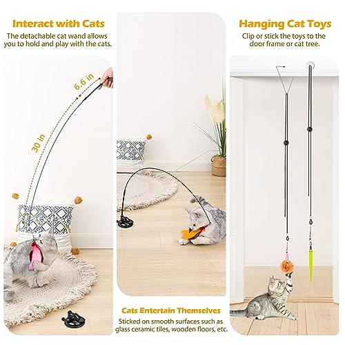 Bengal Cat Interactive Toys with 10 Replacements