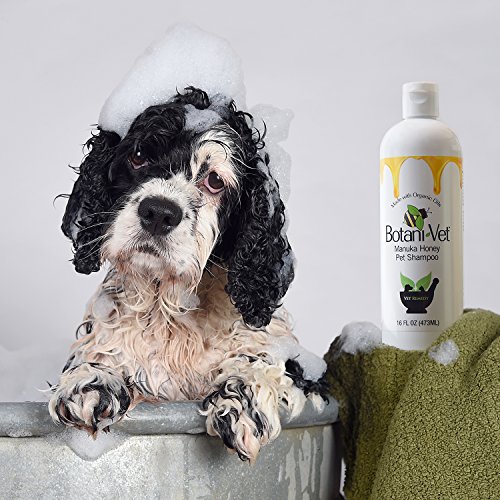 Organic Manuka Honey Cat Shampoo - 16 Oz