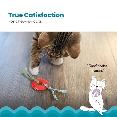 Petstages Dental Kitty Chew Wheel Catnip Cat Toy