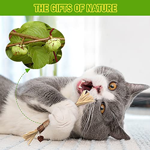 Silvervine Cat Teething and Dental Toys