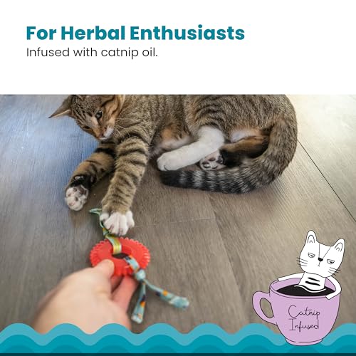 Petstages Dental Kitty Chew Wheel Catnip Cat Toy