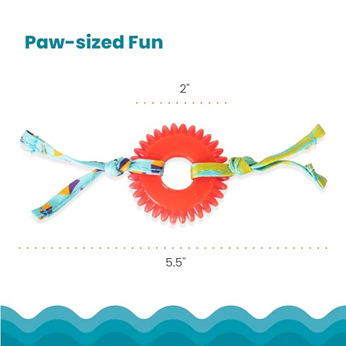 Petstages Dental Kitty Chew Wheel Catnip Cat Toy