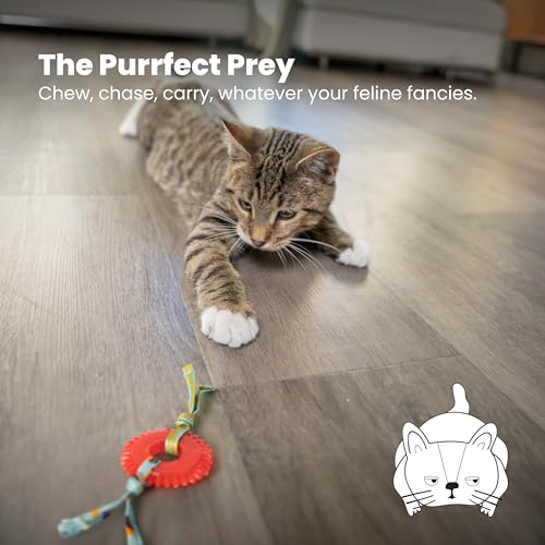 Petstages Dental Kitty Chew Wheel Catnip Cat Toy