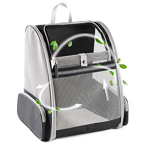 Bubble Backpack for Bengal Cat Travel