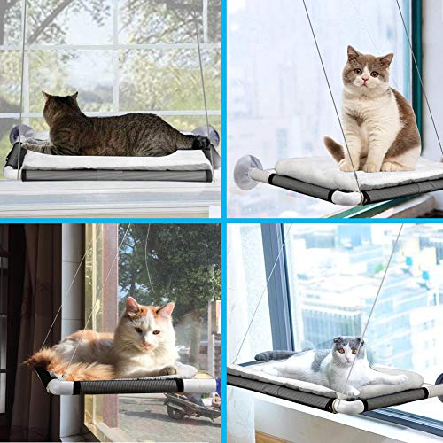 Extra Large Cat Window Perch w/Blanket & Extra Cup
