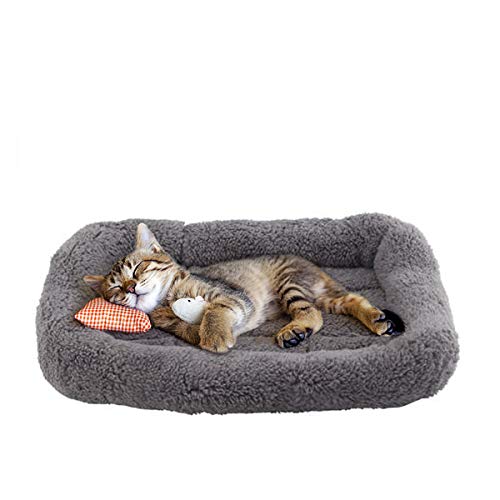 Plush Cat Bed with Pillow and Antiskid Bottom