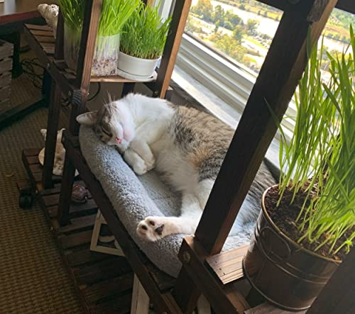 Plush Cat Bed with Pillow and Antiskid Bottom