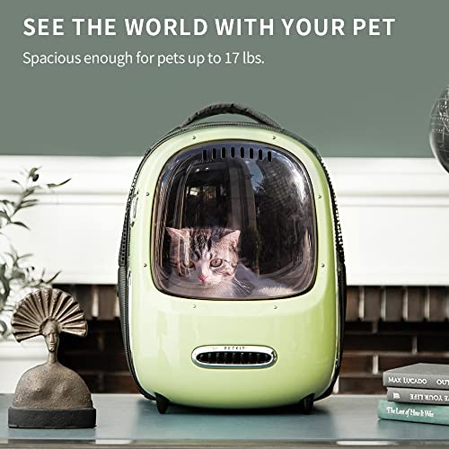 Ventilated Lightweight Cat Backpack Carrier