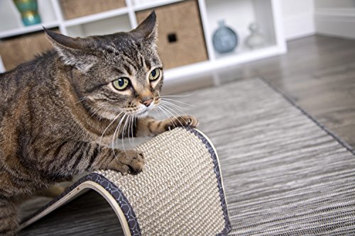 SmartyKat Sisal Angle Cat Scratch Ramp, Includes Catnip - Natural, One Size, Tan