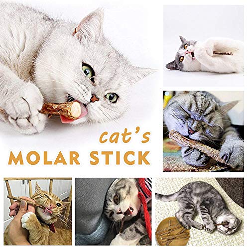 Natural Silvervine Catnip Chew Sticks (12+ pcs)