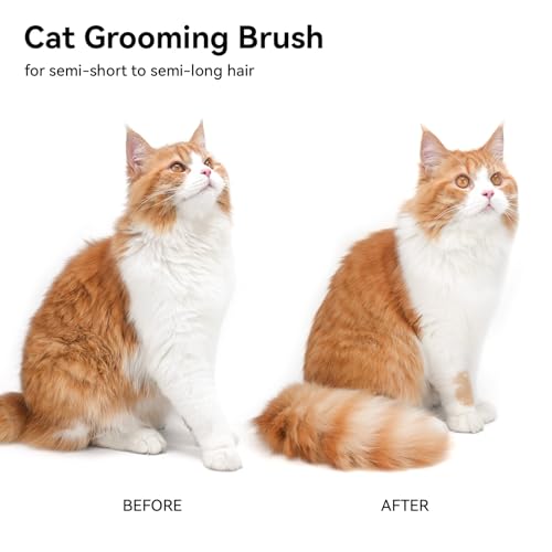 Aumuca Cat Brush for Shedding, Cat Brushes for Indoor Cats, Cat Brush for Long or Short Haired Cats, Cat Grooming Brush Cat Comb for Kitten Rabbit Massage Removes Loose Fur