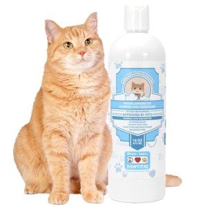 Pawtitas Dog and Cat Shampoo and Conditioner Pet Care Plant Based Made with Certified Organic Natural Herbs, Calming Essential Oil, Oatmeal, Puppy Or Kitten Shampoo Deodorant Fragrance Free 16 oz