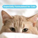 Pawtitas Dog and Cat Shampoo and Conditioner Pet Care Plant Based Made with Certified Organic Natural Herbs, Calming Essential Oil, Oatmeal, Puppy Or Kitten Shampoo Deodorant Fragrance Free 16 oz