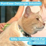 Pawtitas Dog and Cat Shampoo and Conditioner Pet Care Plant Based Made with Certified Organic Natural Herbs, Calming Essential Oil, Oatmeal, Puppy Or Kitten Shampoo Deodorant Fragrance Free 16 oz