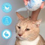 Pawtitas Dog and Cat Shampoo and Conditioner Pet Care Plant Based Made with Certified Organic Natural Herbs, Calming Essential Oil, Oatmeal, Puppy Or Kitten Shampoo Deodorant Fragrance Free 16 oz