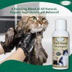 Mad About Organics Oatmeal Shampoo pH Balanced and formulated for Cats and Small Animals - Defense Against Dandruff, Allergies, & Itchy, Dry, Sensitive Skin - Cruelty Free, Sulfate & Paraben Free - Made in the USA