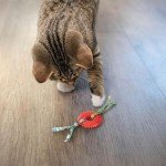 Petstages Dental Kitty Chew Wheel Catnip Cat Toy