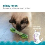 Catnip Infused Breath Freshener Chew Toy