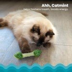 Catnip Infused Breath Freshener Chew Toy