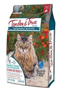 Salmon & Sweet Potato Cat Food, 3lb
